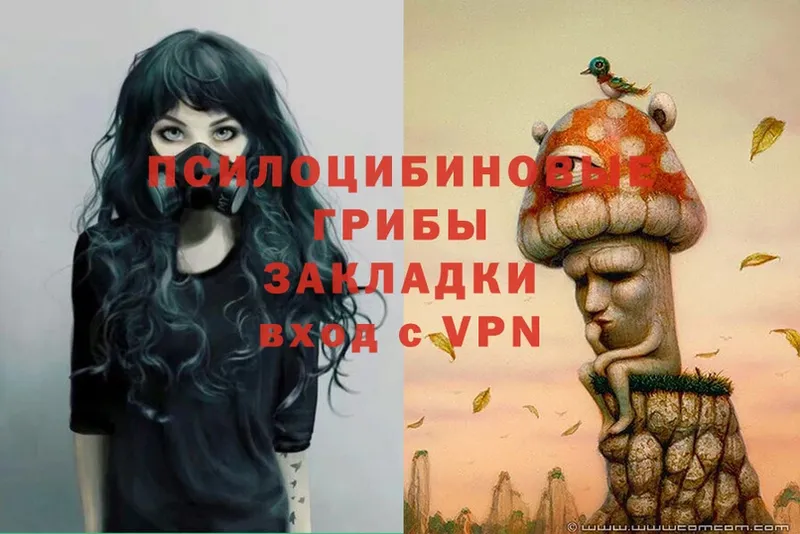 Псилоцибиновые грибы Psilocybe  мориарти какой сайт  Тетюши 